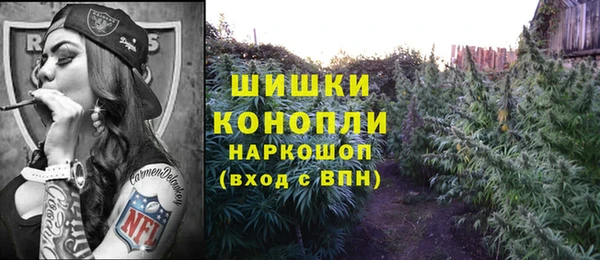 ПСИЛОЦИБИНОВЫЕ ГРИБЫ Балахна