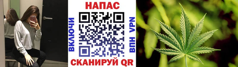Бошки марихуана индика  мориарти какой сайт  Электросталь 